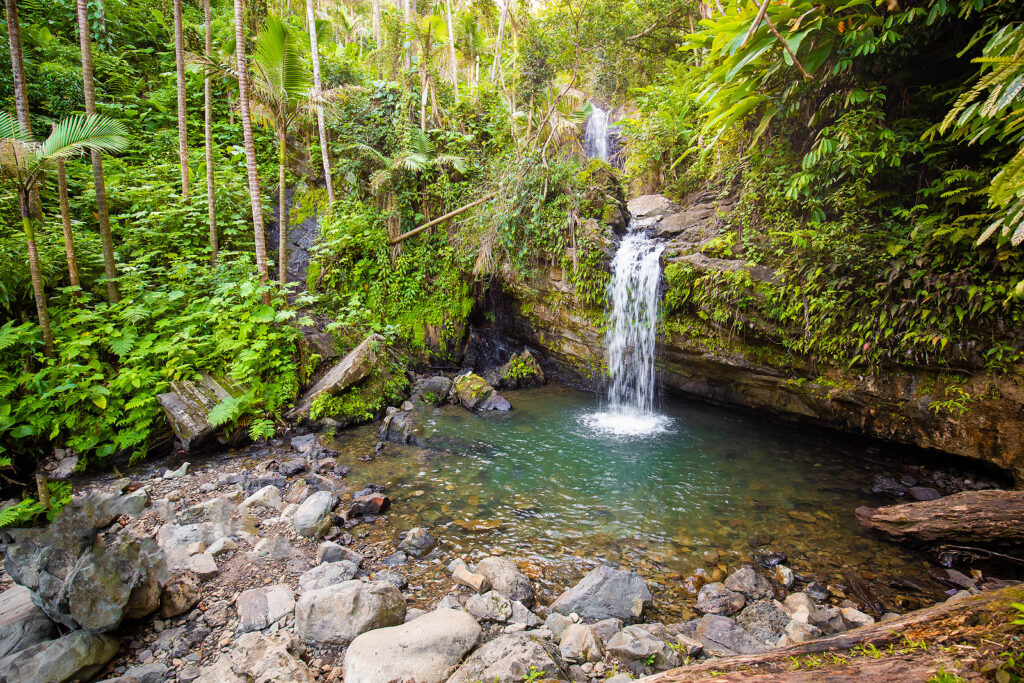 Puerto Rico Travel Tips by Richard Franken Aruba